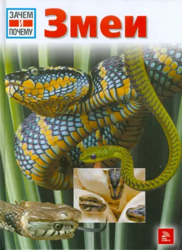 Дитмар Мертенс - Змеи обложка книги