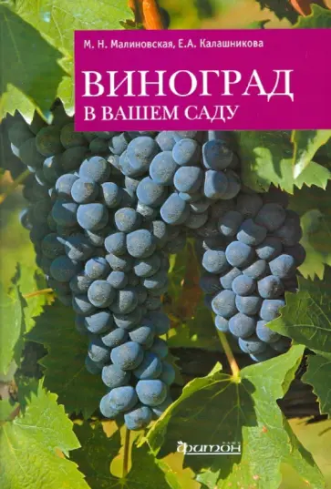 Калашникова, Малиновская - Виноград в вашем саду Калашникова, Малиновская - Виноград в вашем саду обложка книги
