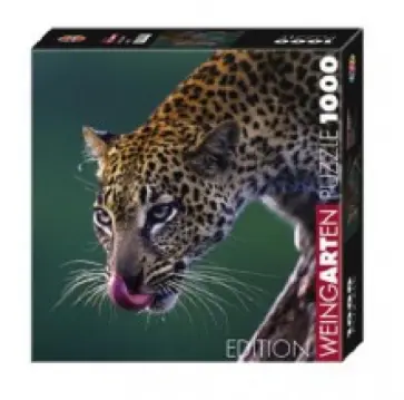Puzzle-1000 "Леопард" Anup Shah (29421) обложка книги