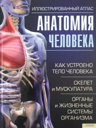 Adolfo Cassan - Анатомия человека. Иллюстрированный атлас обложка книги