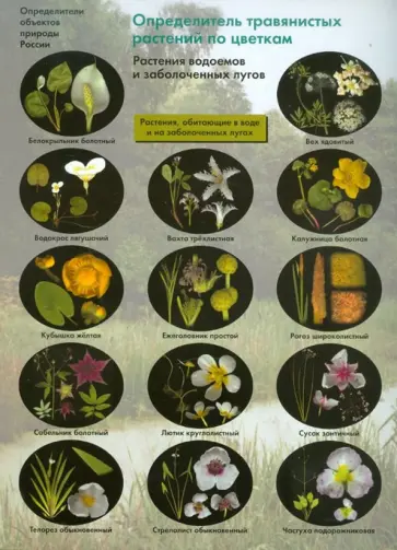 Боголюбов, Жданова - Определитель травянистых растений по цветкам. Растения водоемов и заболоченных лугов обложка книги