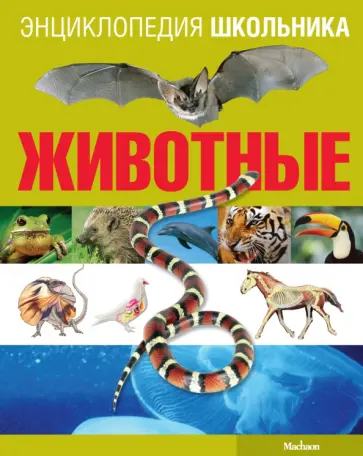 Анхелес Самареньо - Энциклопедия школьника. Животные Анхелес Самареньо - Энциклопедия школьника. Животные обложка книги