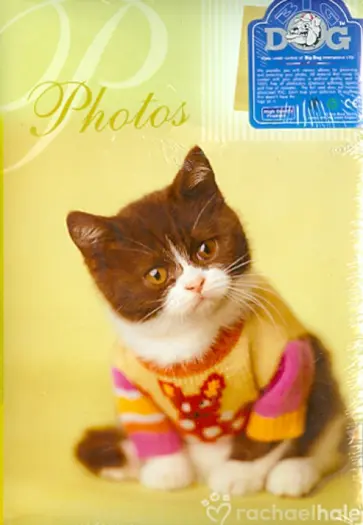 Фотоальбом на 100 фотографий "Lovely kittens" (AG46100) Фотоальбом на 100 фотографий "Lovely kittens" (AG46100) обложка книги