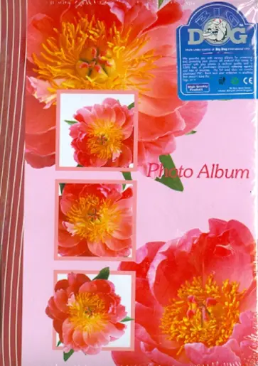 Фотоальбом на 100 фотографий "Spring paints" (AG46100) Фотоальбом на 100 фотографий "Spring paints" (AG46100) обложка книги