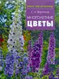 Мое увлечение