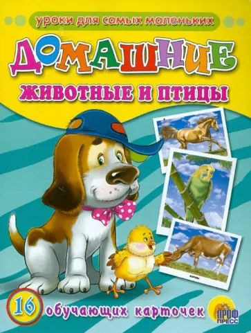 Домашние животные и птицы обложка книги