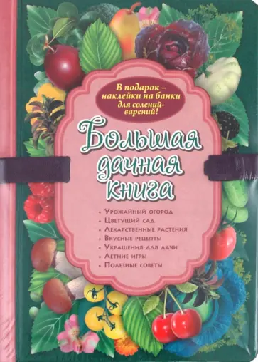 Воронова, Траннуа - Большая дачная книга Воронова, Траннуа - Большая дачная книга обложка книги