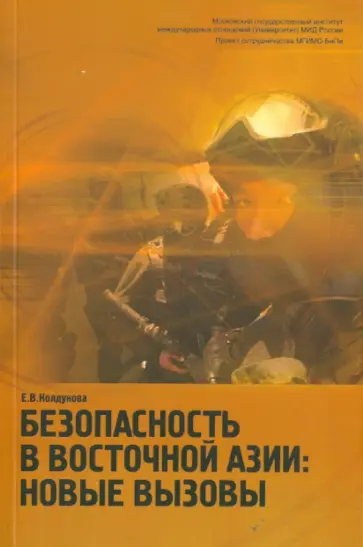 Екатерина Колдунова - Безопасность в Восточной Азии. Новые вызовы обложка книги