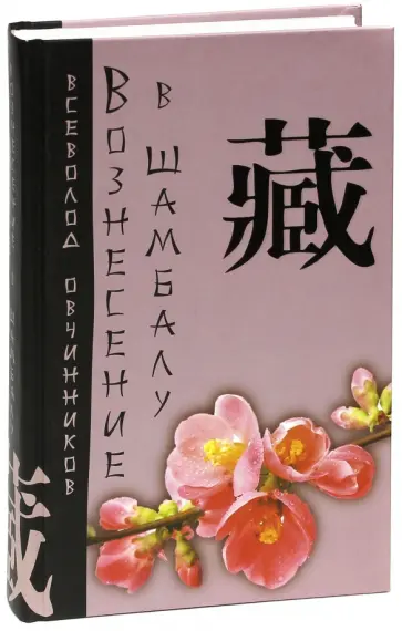 Всеволод Овчинников - Вознесение в Шамбалу. Своими глазами обложка книги