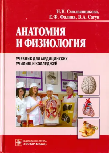 Смольянникова, Фалина - Анатомия и физиология. Учебник обложка книги