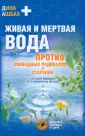 Ашбах Дина