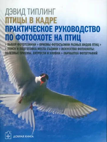 Дэвид Типлинг - Птицы в кадре. Практическое руководство по фотоохоте на птиц обложка книги