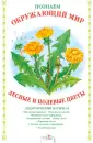 Белый проект. Папка. Познаем окр. мир