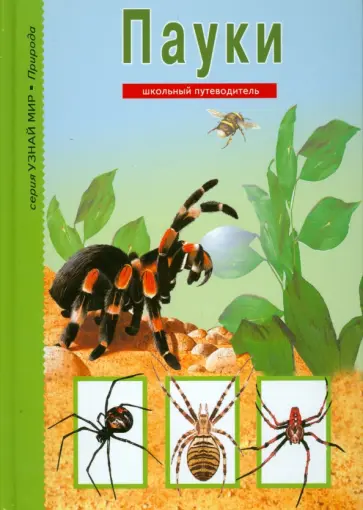 Екатерина Голубева - Пауки, клещи, скорпионы обложка книги