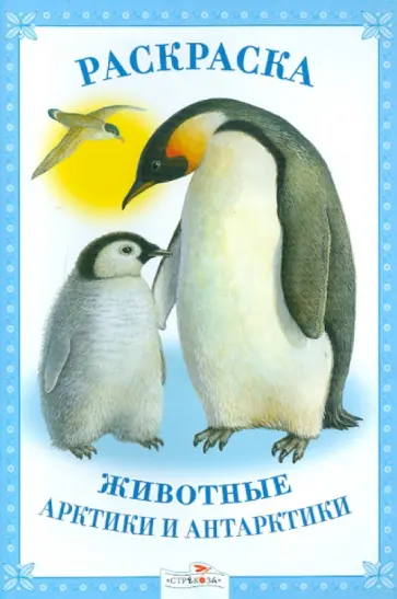 Раскраска. Животные Арктики и Антарктики. обложка книги