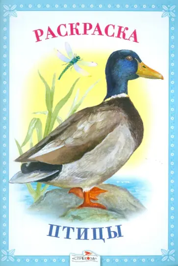 Раскраска. Птицы. обложка книги