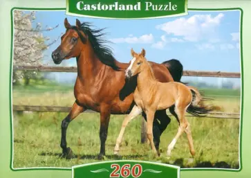 Лошади, 260 деталей MIDI (B-26784М) обложка книги