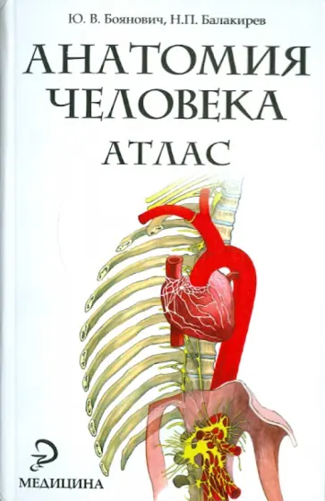 Боянович, Балакирев - Анатомия человека. Атлас Боянович, Балакирев - Анатомия человека. Атлас обложка книги