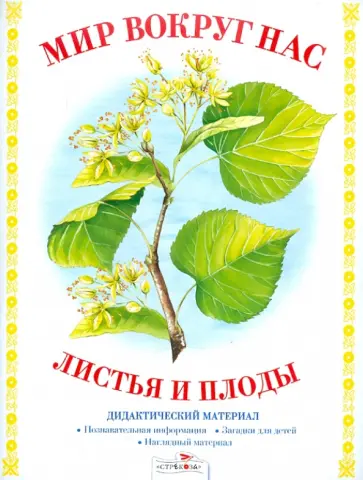 И. Васильева - Дидактический материал "Мир вокруг нас". "Листья и плоды" И. Васильева - Дидактический материал "Мир вокруг нас". "Листья и плоды" обложка книги
