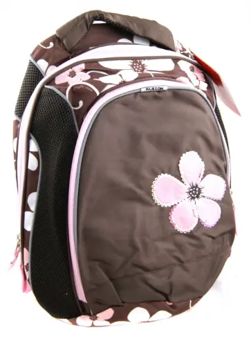 Рюкзак школьный (AL12472) обложка книги