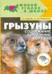Миниатюра 1
