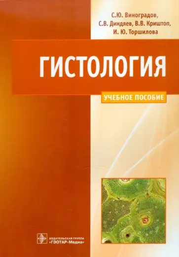 Виноградов, Диндяев - Гистология. Схемы, таблицы и ситуационные задачи по частной гистологии человека Виноградов, Диндяев - Гистология. Схемы, таблицы и ситуационные задачи по частной гистологии человека обложка книги