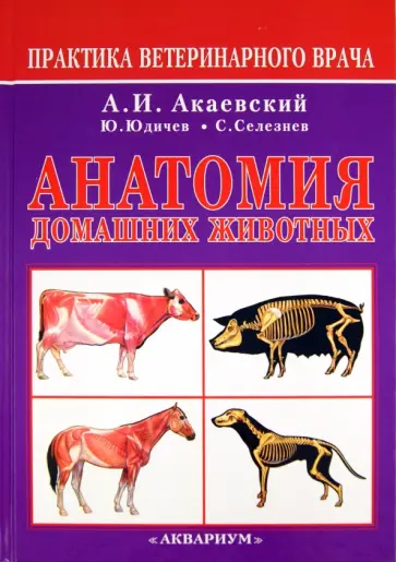 Акаевский, Юдичев - Анатомия домашних животных Акаевский, Юдичев - Анатомия домашних животных обложка книги