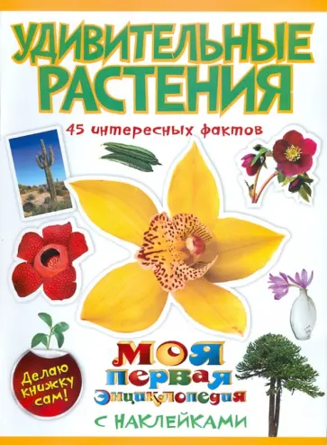 Наталья Костина - Удивительные растения обложка книги