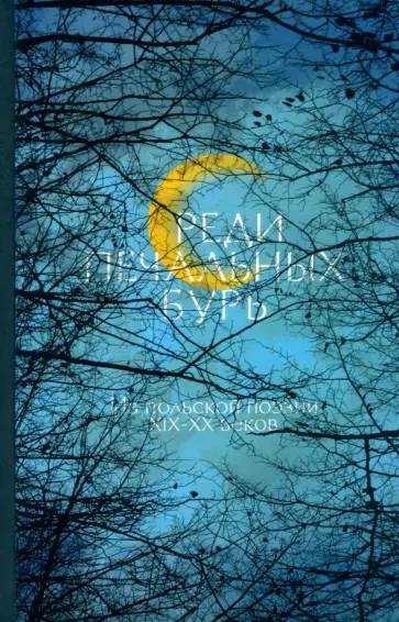 Среди печальных бурь. Из польской поэзии XIX-XX веков обложка книги