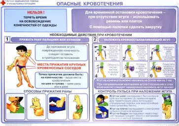 Бубнов, Бубнова - Первая медицинская помощь в чрезвычайных ситуациях (12 плакатов) обложка книги