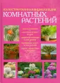 10 самых распространенных вредителей комнатных растений. Описание, методы борьбы. Фото — Ботаничка