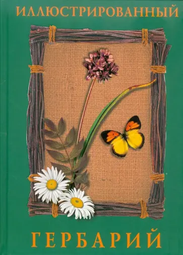 Маневич, Маневич - Иллюстрированный гербарий обложка книги