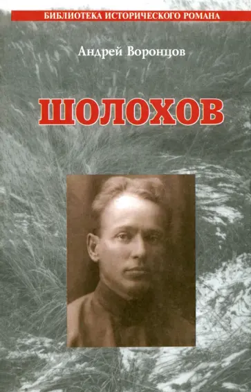 Андрей Воронцов - Шолохов Андрей Воронцов - Шолохов обложка книги