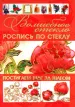 Миниатюра 1