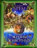 Миниатюра 1