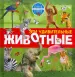 Миниатюра 1