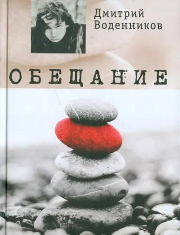 Дмитрий Воденников - Обещание Дмитрий Воденников - Обещание обложка книги