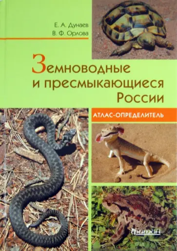 Дунаев, Орлова - Земноводные и пресмыкающиеся России. Атлас-определитель Дунаев, Орлова - Земноводные и пресмыкающиеся России. Атлас-определитель обложка книги