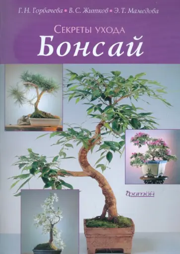 Горбачева, Житков - Бонсай Горбачева, Житков - Бонсай обложка книги