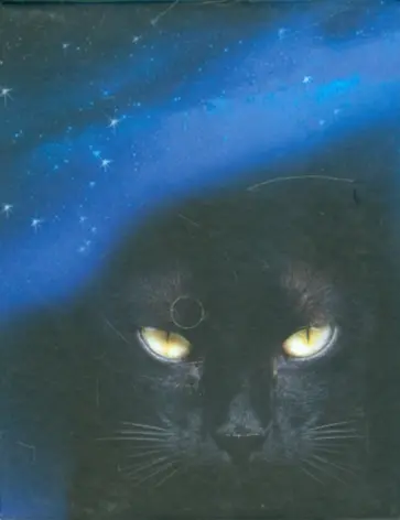 Магический блок для записей "Черная Кошка" обложка книги