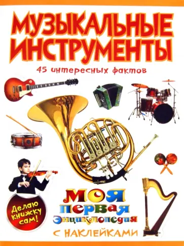 Елена Шейнина - Музыкальные инструменты обложка книги