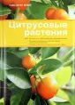 Майер Ганс-Петер