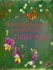 Миниатюра 1