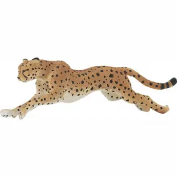 Гепард (290429) обложка книги