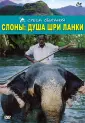 Фильмы. Документальный фильм