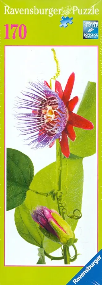 Пазл-170 "Цветок страсти" (панорама) (151257) обложка книги