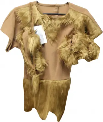 Карнавальный костюм "Первобытный мальчик" (ПМ 011) Карнавальный костюм "Первобытный мальчик" (ПМ 011) обложка книги