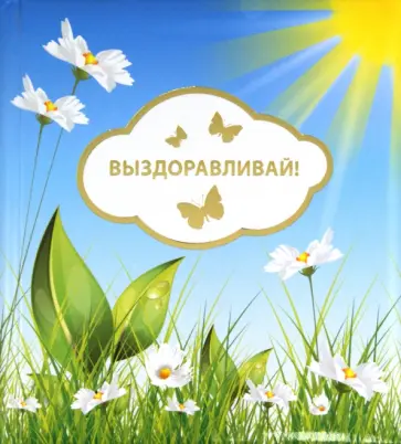 О. Епифанова - Выздоравливай! обложка книги