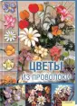 Тозин Дебора