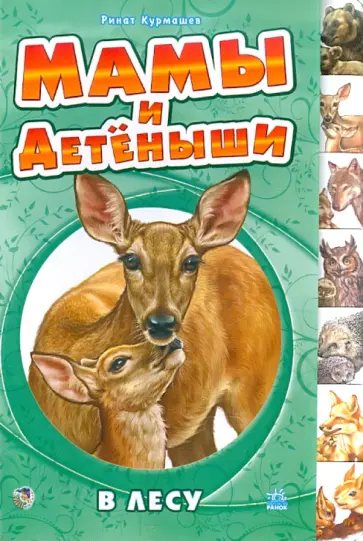 Ринат Курмашев - В лесу Ринат Курмашев - В лесу обложка книги